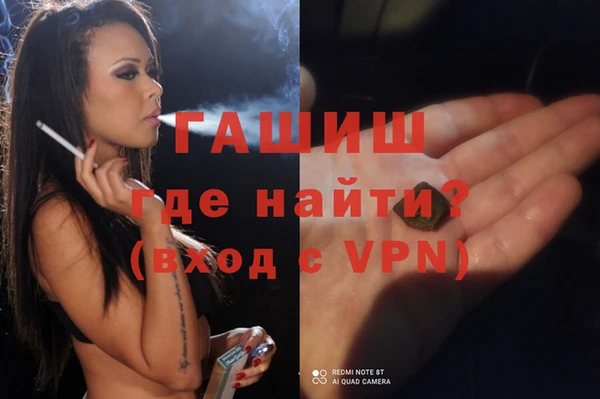индика Алексин