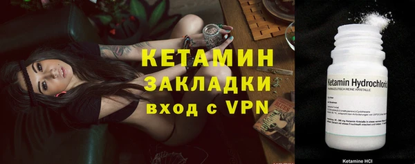 хмурый Магас