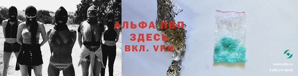 винт Абаза