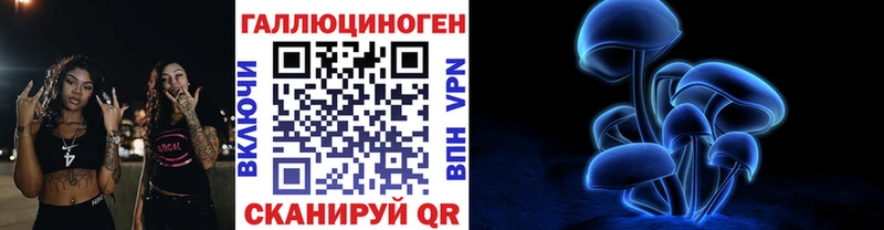 что такое omg ссылки Галлюциногенные грибы мицелий Дербент